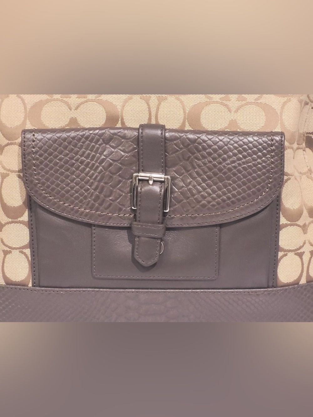 Coach Charlie Signature Python Hobo *Style #F32081* - Picture 2 of 15